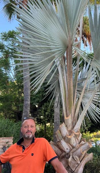 les jardins de franki