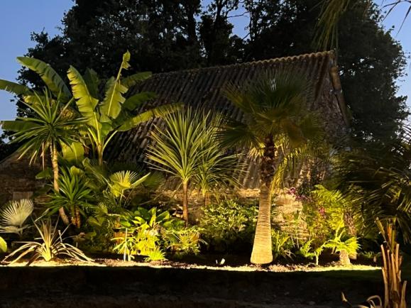 création de jardin création de jardin