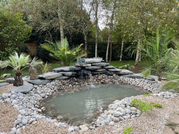 bassin jardin