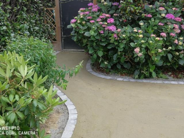 Création de parterre de plantes et de fleurs pour des jardins de particulier